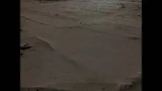 [untitled] 1