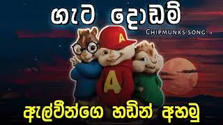ගැට දොඩම් | Chipmunks song | Gata Dodam | New Sinhala Song | ඇල්වීන්ගෙ හඩින් අහල බලමු