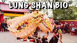 PENAMPILAN LIONG & BARONGSAI LUNG SHAN BIO | SEJIET KELENTENG TJO SU BIO KE 77 TAHUN ‼️
