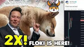 ELON MUSK M&Uuml;JDEYİ VERDİ, FLOKİ ROKETLEDİ!🚀FLOKİ, PEPE'TEN BETER GİDECEK...🔥CEO, YAPTI YAPACAĞINI...🚀