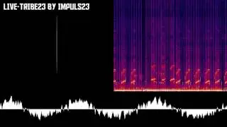 LIVE-TRIBE23 by IMPULS23