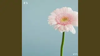 flower road