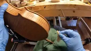 Live 🎻🎥 sealing time!  🌺 Verbena