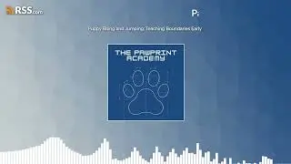 Puppy Biting and Jumping: Teaching Boundaries Early