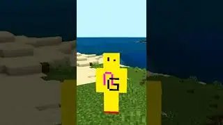 Rarest Seed in Minecraft for Speedrun #minecraft