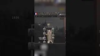 HOI-players vs. normal gamers | HOI4