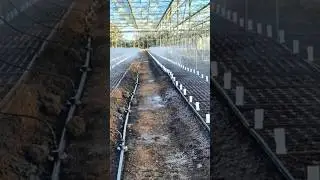 What Happens When You Use a MIST MAKER FOGGER KIT on Your Farm?