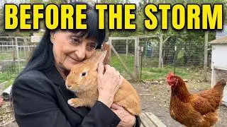 One Minute Ago || EP271 || Cluck and Hop Homestead