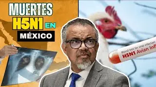 &iquest;La gripe aviar ser&aacute; la pr&oacute;xima pandemia en 2025?