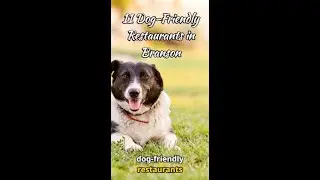 11 Dog-Friendly Restaurants in Branson