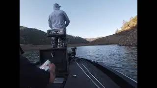 Lake Don Pedro. Early morning swim bait bite. 7/5/21 bass fishing