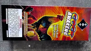COCK AWAKENS 4&rdquo; SALUTE CANISTER FIREWORKS SHELLS 🔥🔥💥🧨 OG BANGERS!!!