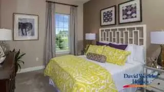 David Weekley: Grenada Model Home at FishHawk Ranch Virtual Tour