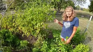 Garden review - end of 2023 season