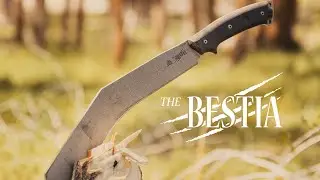 The Bestia Overview