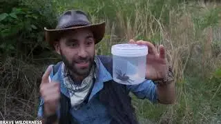 Top 10 Cele mai periculoase insecte din lume
