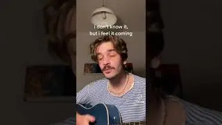 steve lacy - dark red cover by Fran Vasilic