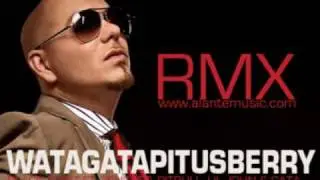 watagatapitusberry - Pitbull, Sensato, Black Point, Lil Jon, El Cata