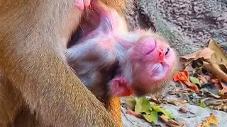 Blind mom Lila gave birth to first baby but unfortunately she couldn't see her baby's face clearly