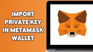 Как импортировать закрытый ключ в кошелек MetaMask 2024