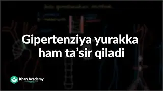 Gipertenziya yurakka ham taʼsir qiladi | Gipertenziya | Tibbiyot