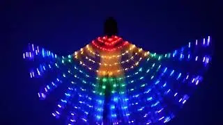 Stage Wear Wings