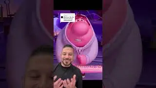 Bing Bong & Embarrassment Fan Theory #insideout2 #insideout #magicfamclub #disneyfyp #disneycontent