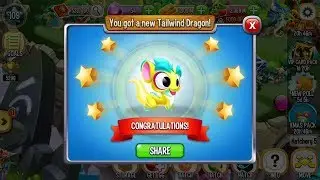 Dragon City | Feed Tailwind Dragon | Exclusive Dragon Breeding