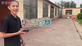 私人庄园养狗比别墅还要高一个等级