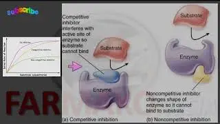 Non Competitive Antagonist