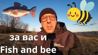 ЗА ВАС И FISH AND BEE