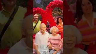 Wax Figures In Singapore #shorts #travel #vlog Catchy Fusion