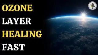 New Report Shows Ozone Layer Healing by Mid-Century | WION Podcast