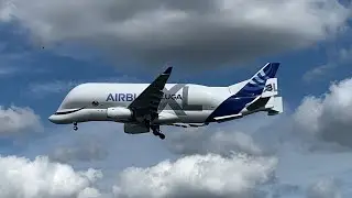Airbus A330-700 Beluga XL (F-GXLI) approaching Hamburg Finkenwerder July 14, 2022.