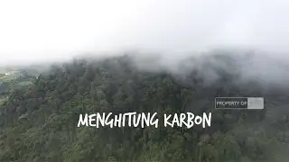Menghitung Karbon