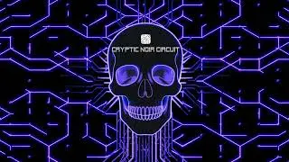 Cryptic Noir Circuit - In my drawers