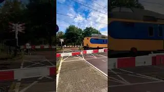 Ns Icm koploper