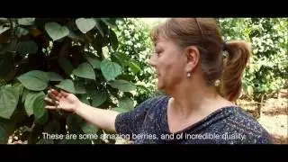 Pepper expert Branka Veljovic explaning Tellicherry Black Pepper