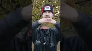 Decapitate it Metamorphosis hat and trees