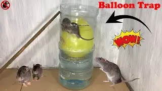 Balloon Mouse Trap/How to make Mouse Trap Homemade With Balloon/Automatic Mouse Trap
