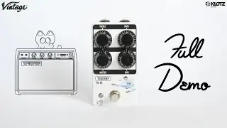 Drunk Beaver Trainer TS-15 DEMO + REVIEW | Traynor amp in a box! | Guitar & Bass into Tube Power Amp