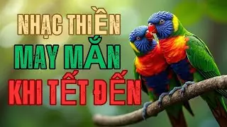Tiếng Chim Hót Ngày Tết | Nhạc Thiền Mang MAY MẮN Về Nhà