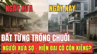 Vì Sao Người Xưa Sợ Đất Từng Trồng Chuối – Hiện Đại Có Còn Kiêng? | Phong Thủy Cổ Xưa
