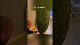Это дерево изменило все