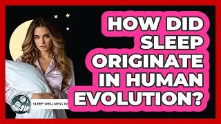 How Did Sleep Originate In Human Evolution? - Sleep Wellness Workshop