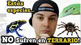 Que animales SUFREN más en cautividad y cuáles TOLERAN mejor estar en TERRARIOS!