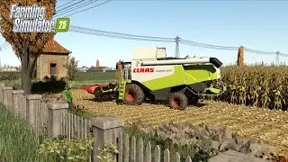 Corn harvest in Polesine with Lexion 570 and  Favorit 926 with Adurante trailer. 🇮🇹 | FS25 gameplay.