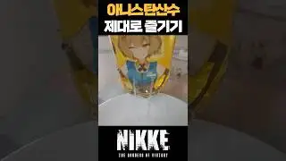 니케 아니스 이렇게까지 해야 하나...?