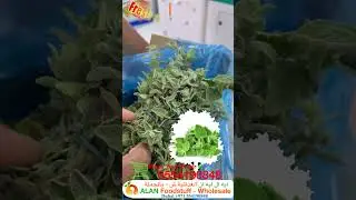 #fresh #oregano #free #delivery #fruits #vegetables #grocery #wholesale #price #whatsapp #us #for