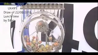 UK49's lottery